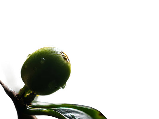 Rethinking Caffeine: A Deeper Look at What's Happening in Your Body