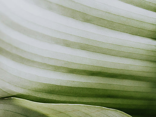 How Long Does Natural Pain Relief Take to Work?