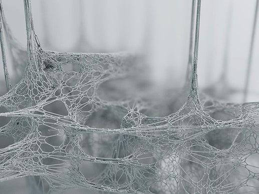 What Is Neuroinflammation, and Why It Drives So Much Pain