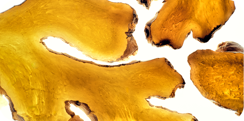 The Science Behind Ginger’s Role in Balancing Inflammatory Pathways