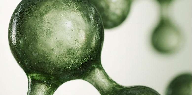 Does PEA Actually Work for Pain? What the Evidence Shows