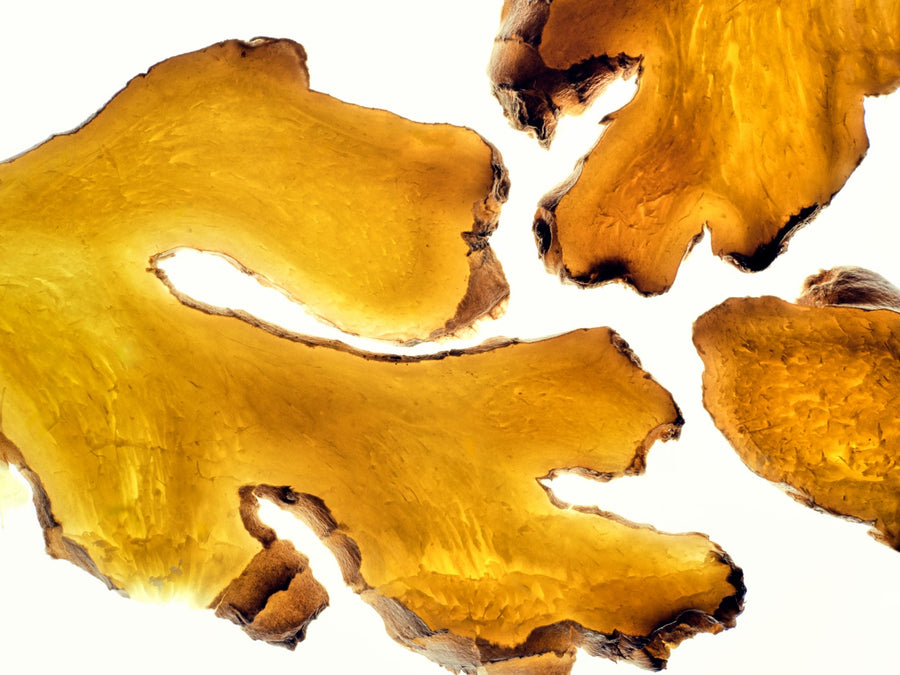Macro photograph of freshly cut ginger slices